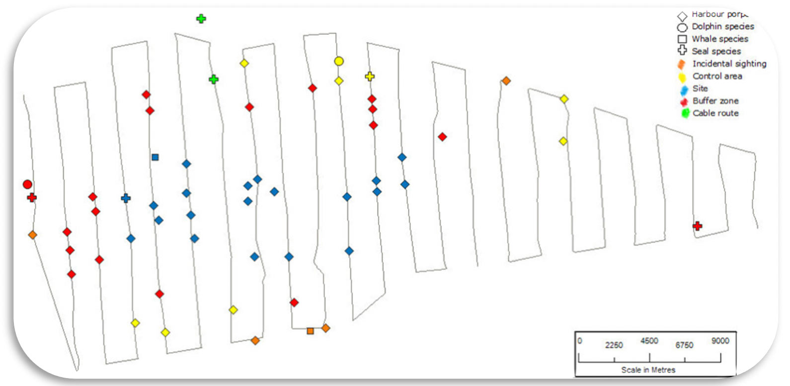 Distance sampling survey vessel tracks showing marine mammal sightings