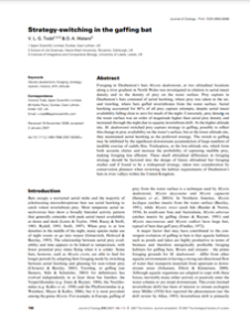 Strategy switching in the gaffing bat (PDF)