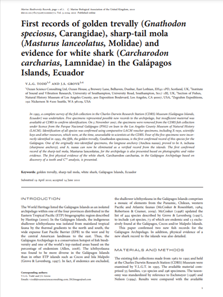 First records of golden trevally (Gnathodon speciosus, Carangidae), sharp-tail mola (Masturus lanceolatus, Molidae) and evidence for white shark (Carcharodon carcharias, Lamnidae) in the Galápagos islands, Ecuador (PDF)